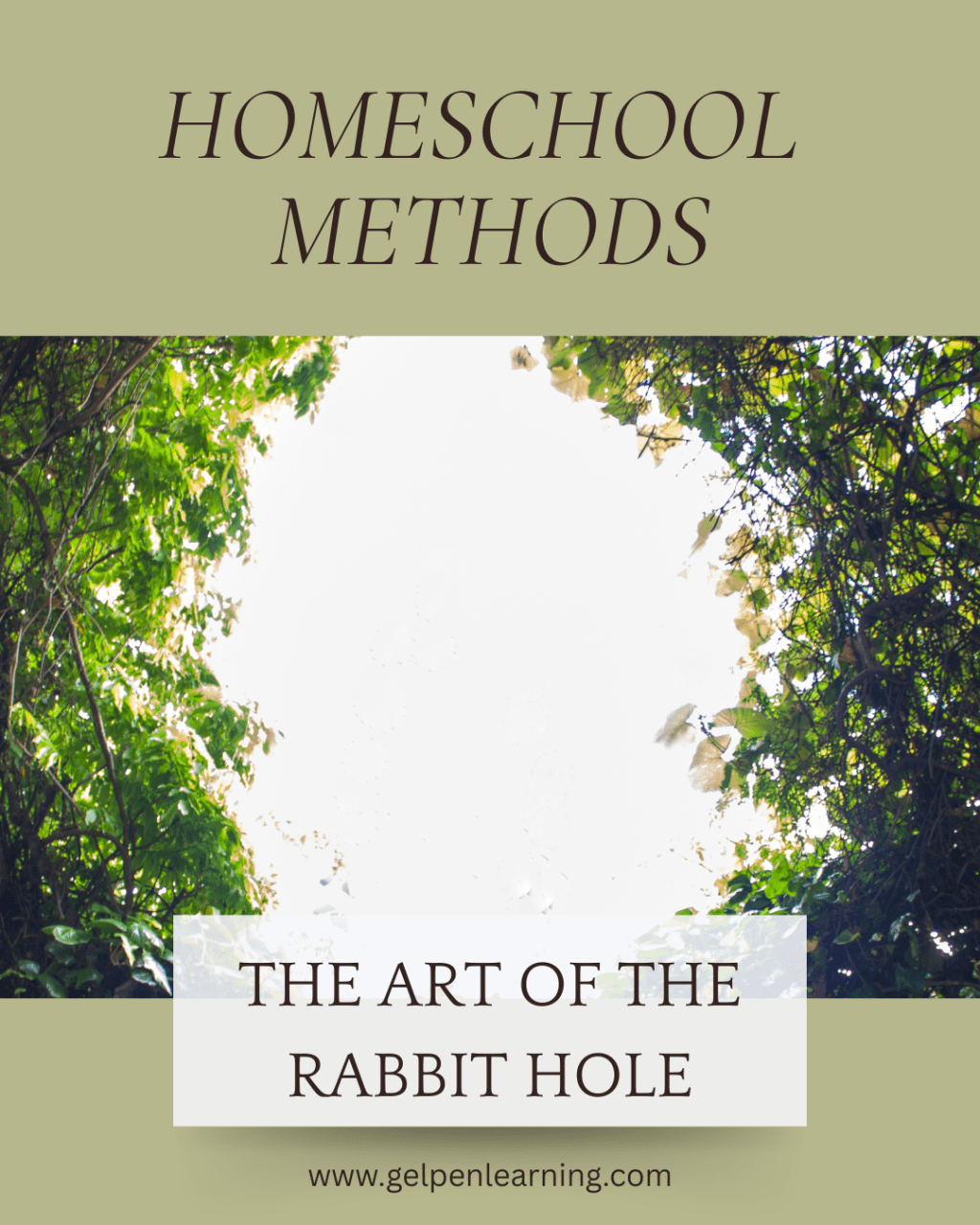 The Art of the Rabbit Hole: An&nbsp;Introduction
